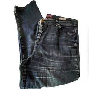 Gloria Vanderbilt Amanda Straight Leg Dark Blue Denim Jeans.  Size = 16W.